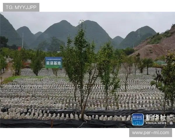 多赢真人安全保障措施详解，确保每位玩家在公平公正的环境中实现多赢目标